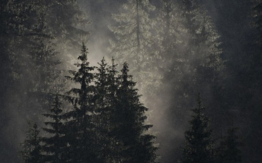 tumblr_nqefutok9v1qc6855o1_540