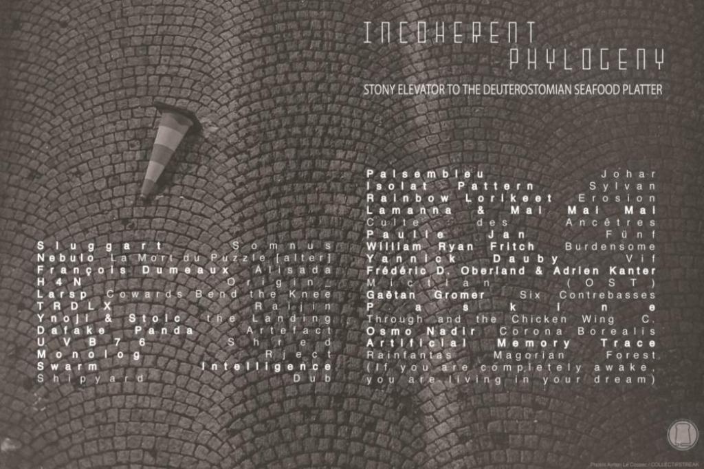 Incoherent Phylogeny